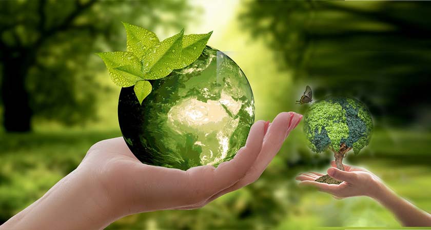 thesiliconreview-exceptional-environmental-sustainability-trends